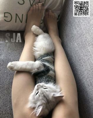 老司机啪啪免费视频-高清点播日韩在线观看